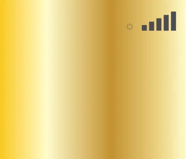 Hardcore_-Gold MTN Hardcore Spray Paint - Gold